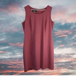 Lady Hampton 18 Pink, Lined, sleeveless, sheath dress. Office, Party, Fall.